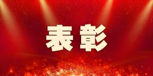 关于表彰 2025 年度先进个人的决定